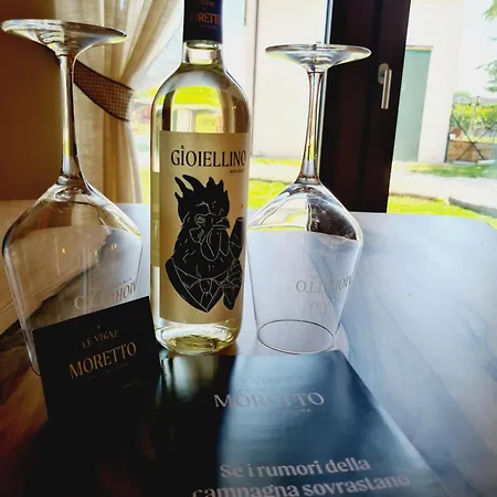 Appartamentino In Az Agricola Le Vigne Del Moretto Apartment Castelnuovo del Garda