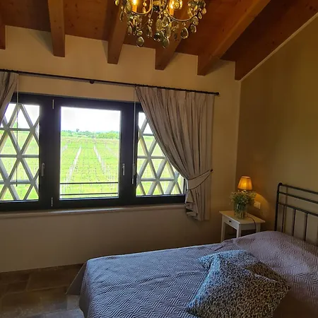 Apartment Appartamentino In Az Agricola Le Vigne Del Moretto Castelnuovo del Garda