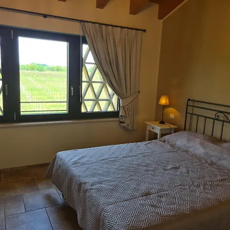 Appartamentino In Az Agricola Le Vigne Del Moretto