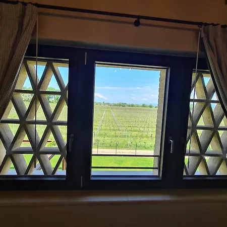 Appartamentino In Az Agricola Le Vigne Del Moretto