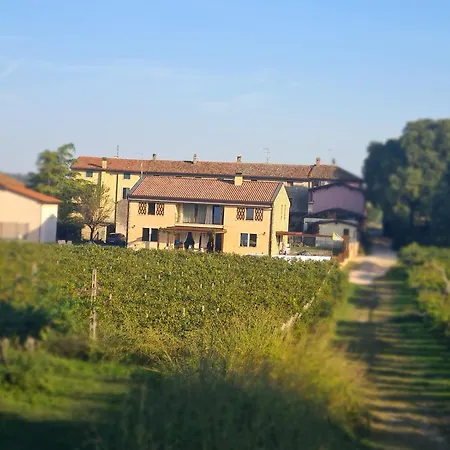 Appartamentino In Az Agricola Le Vigne Del Moretto Apartment *